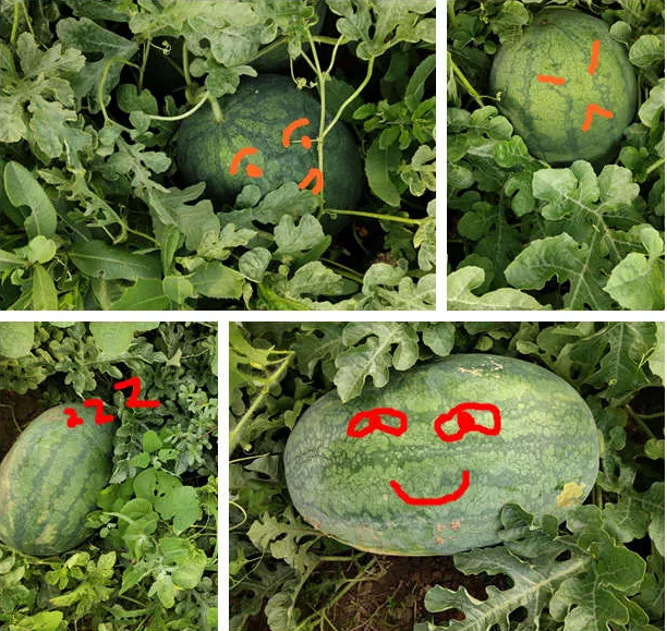 1594277206179529.png image.png